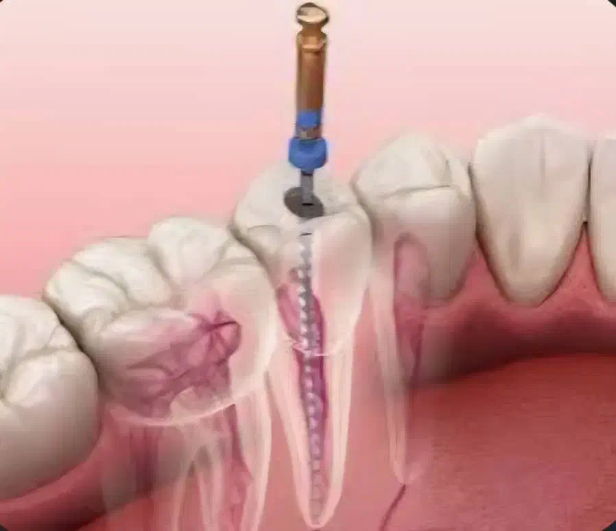 مطب تخصصی|خدمات آرایشگری و زیبایی|شیراز, دروازه قران|دیوار