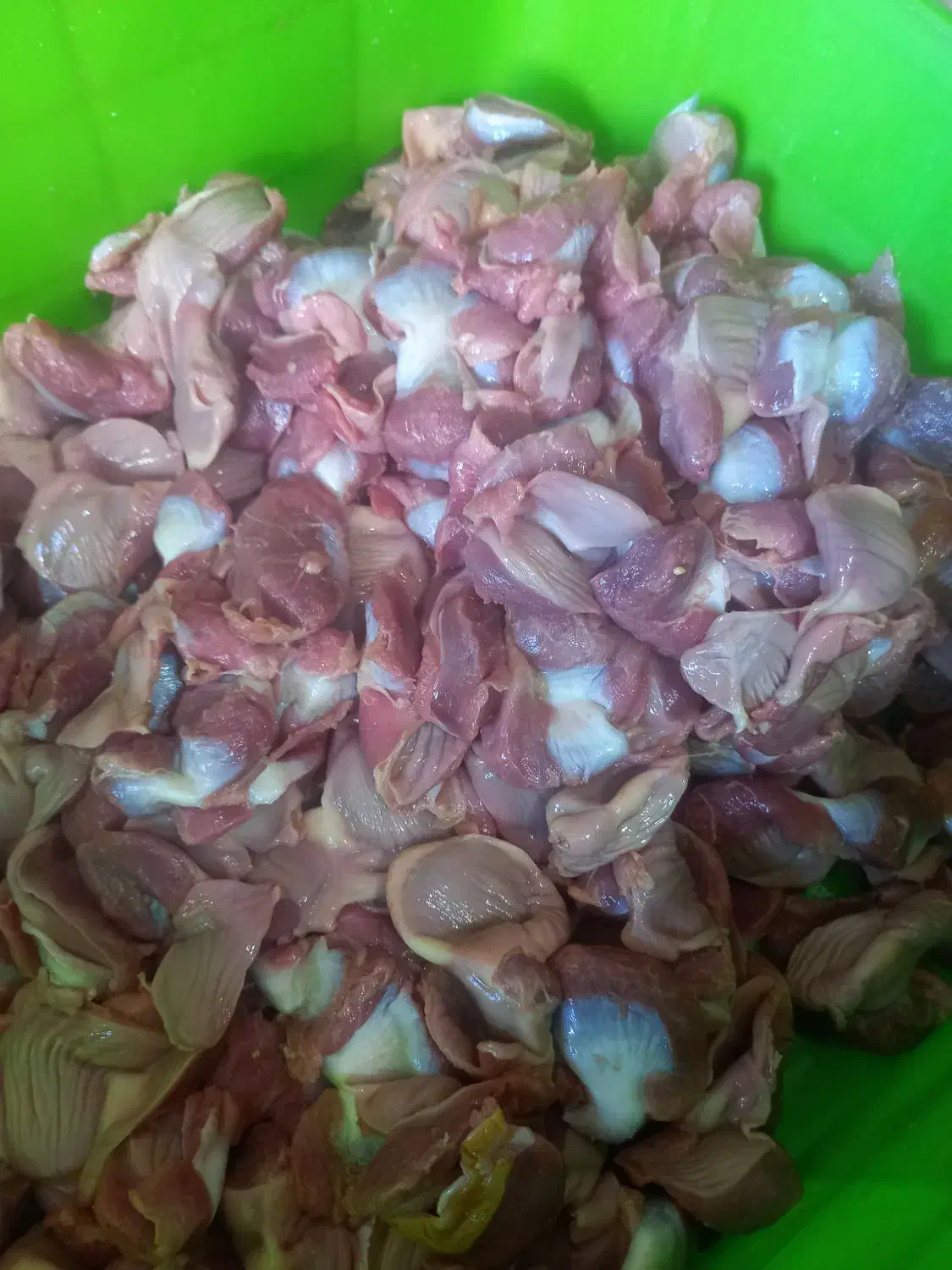 فروش سنگدان مرغ گوشتی|خوردنی و آشامیدنی|اصفهان, شهرک صنعتی جی|دیوار