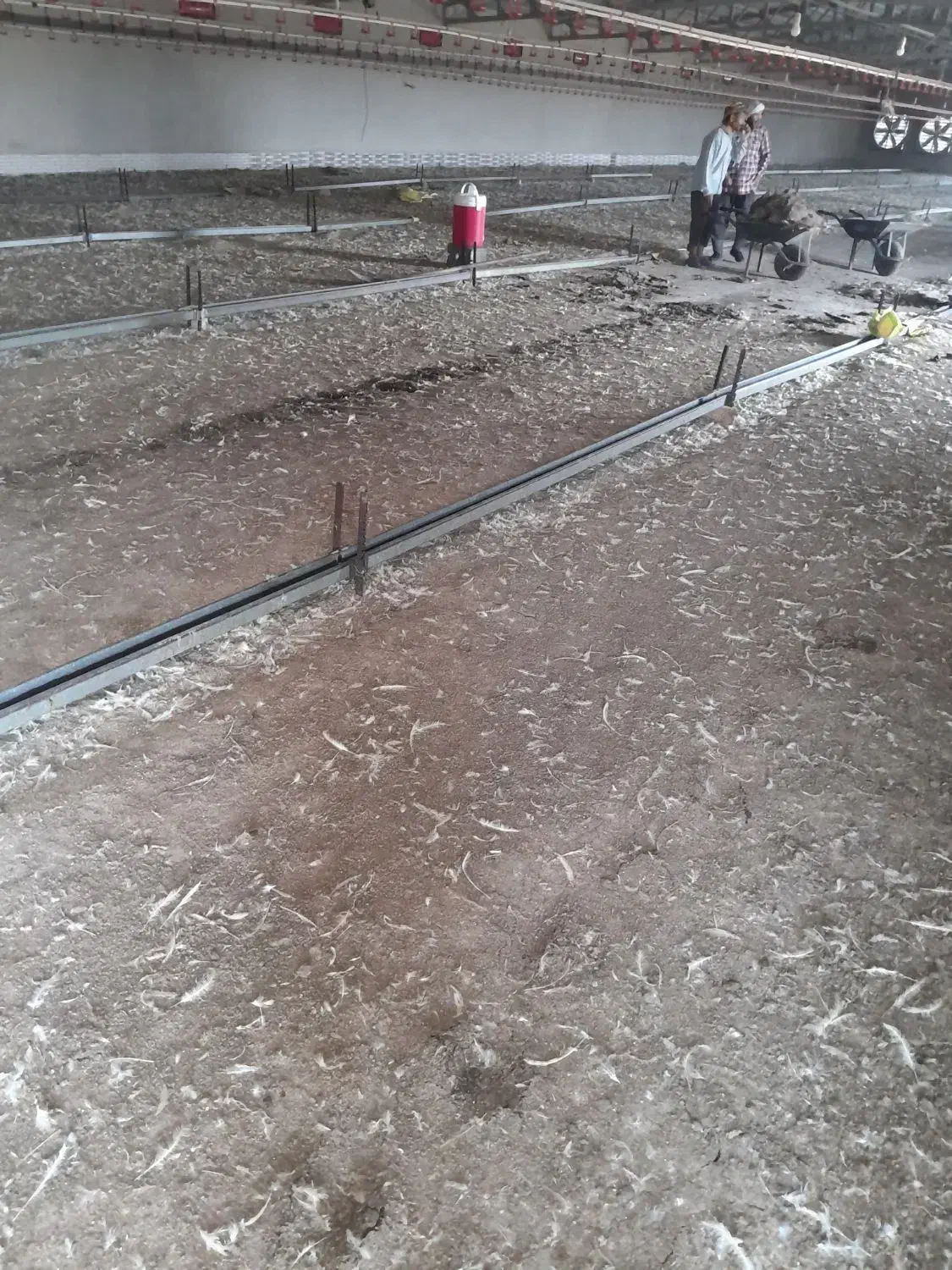 کود‌مرغ‌خالص|خدمات باغبانی و درختکاری|کاشان, راوند|دیوار