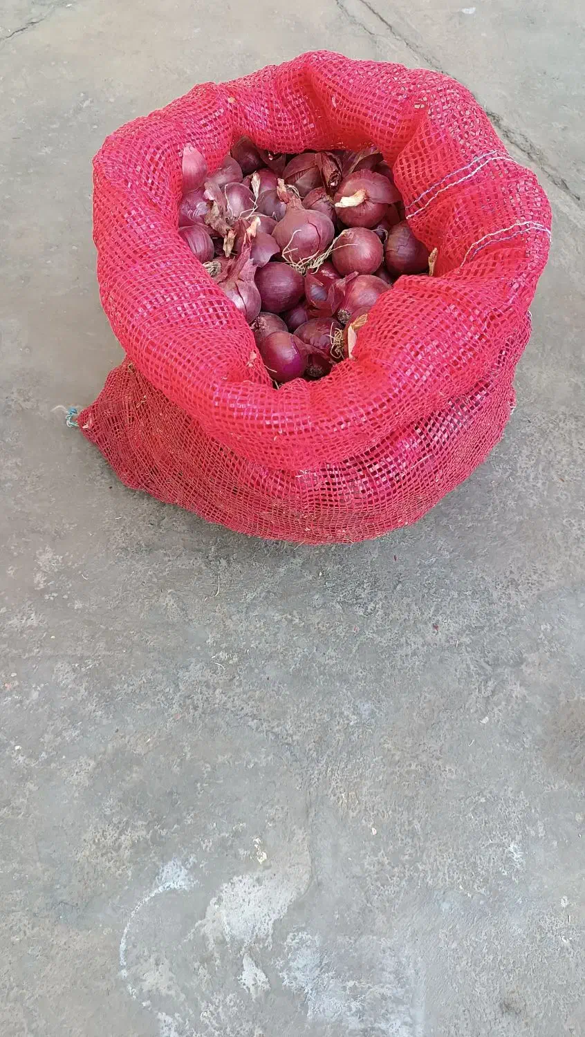 پیاز ریز کیلوی10هزار پیاز درشت کیلوی15هزار|خوردنی و آشامیدنی|شاهین دژ, |دیوار