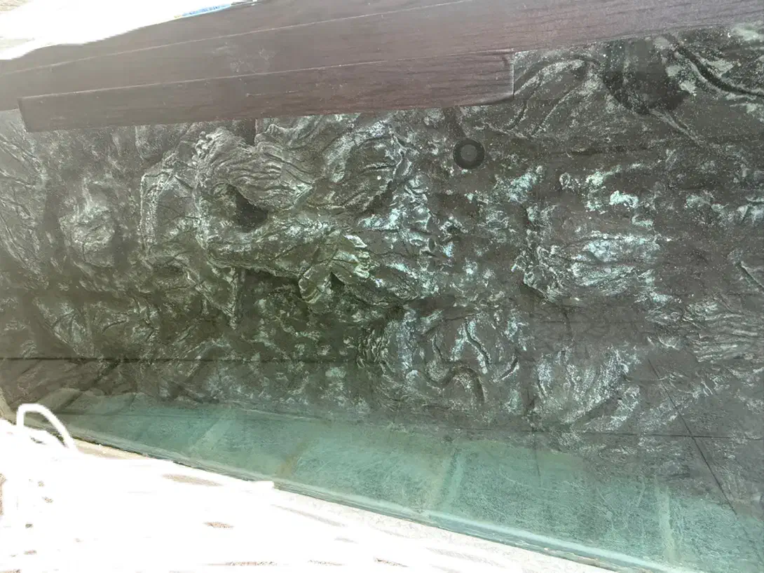 اکواریم حرفه ای|ماهی|سیرجان, |دیوار