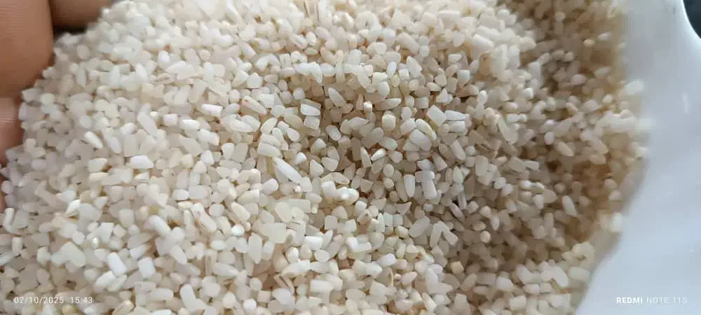 فروش برنج وخورده برنج|خوردنی و آشامیدنی|جهرم, |دیوار