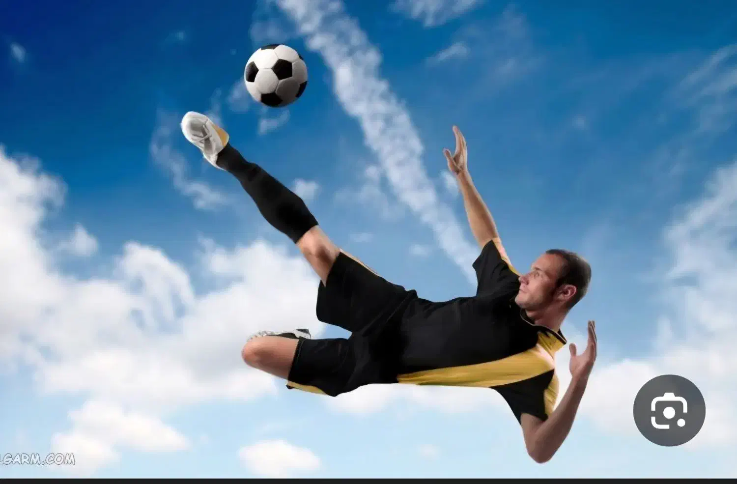 پارتنر ورزشی|فعالیت داوطلبانه|قزوین, |دیوار