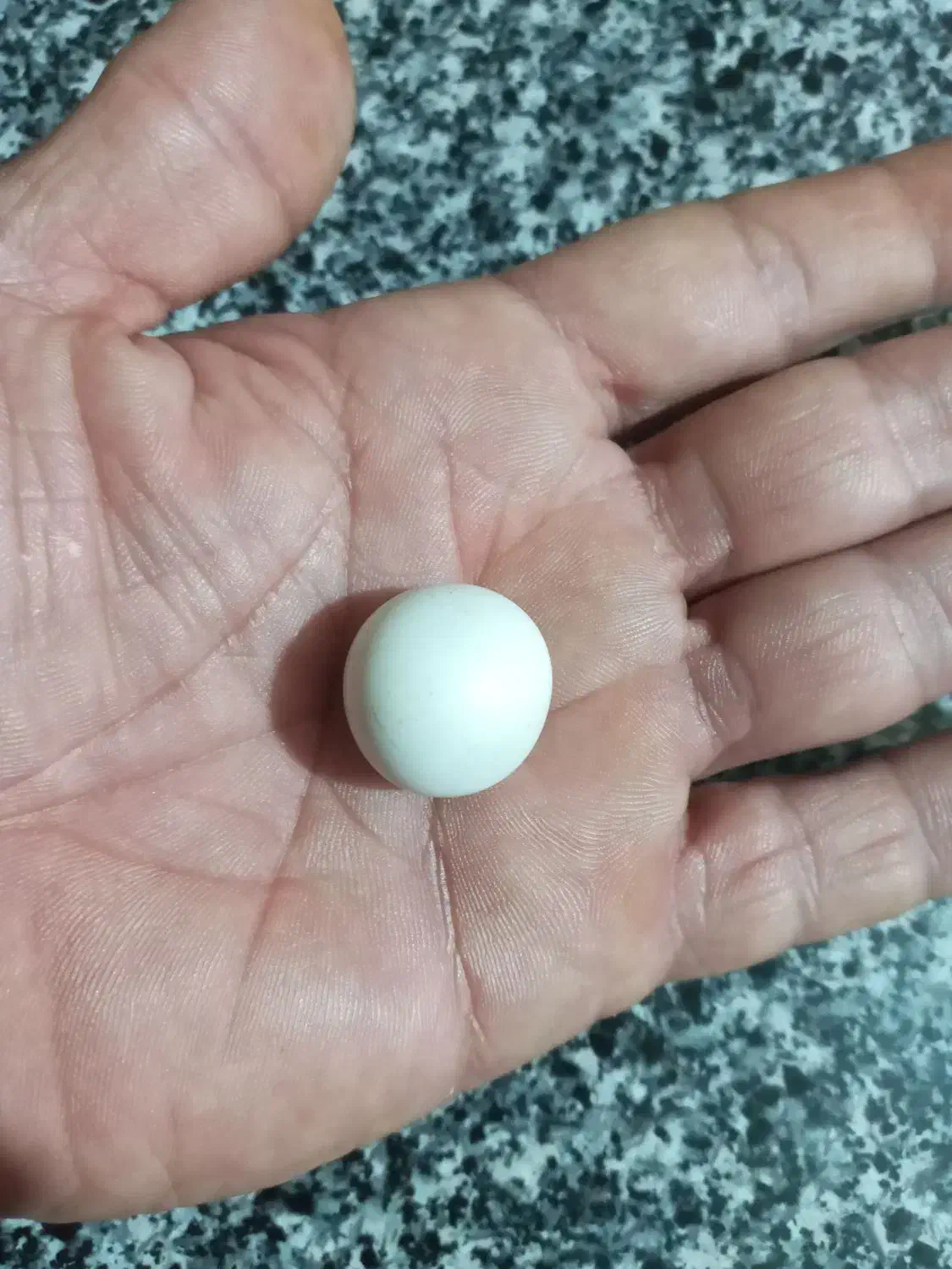 سنگ الماس آسیاب|زیورآلات و اکسسوری|مسجد سلیمان, |دیوار