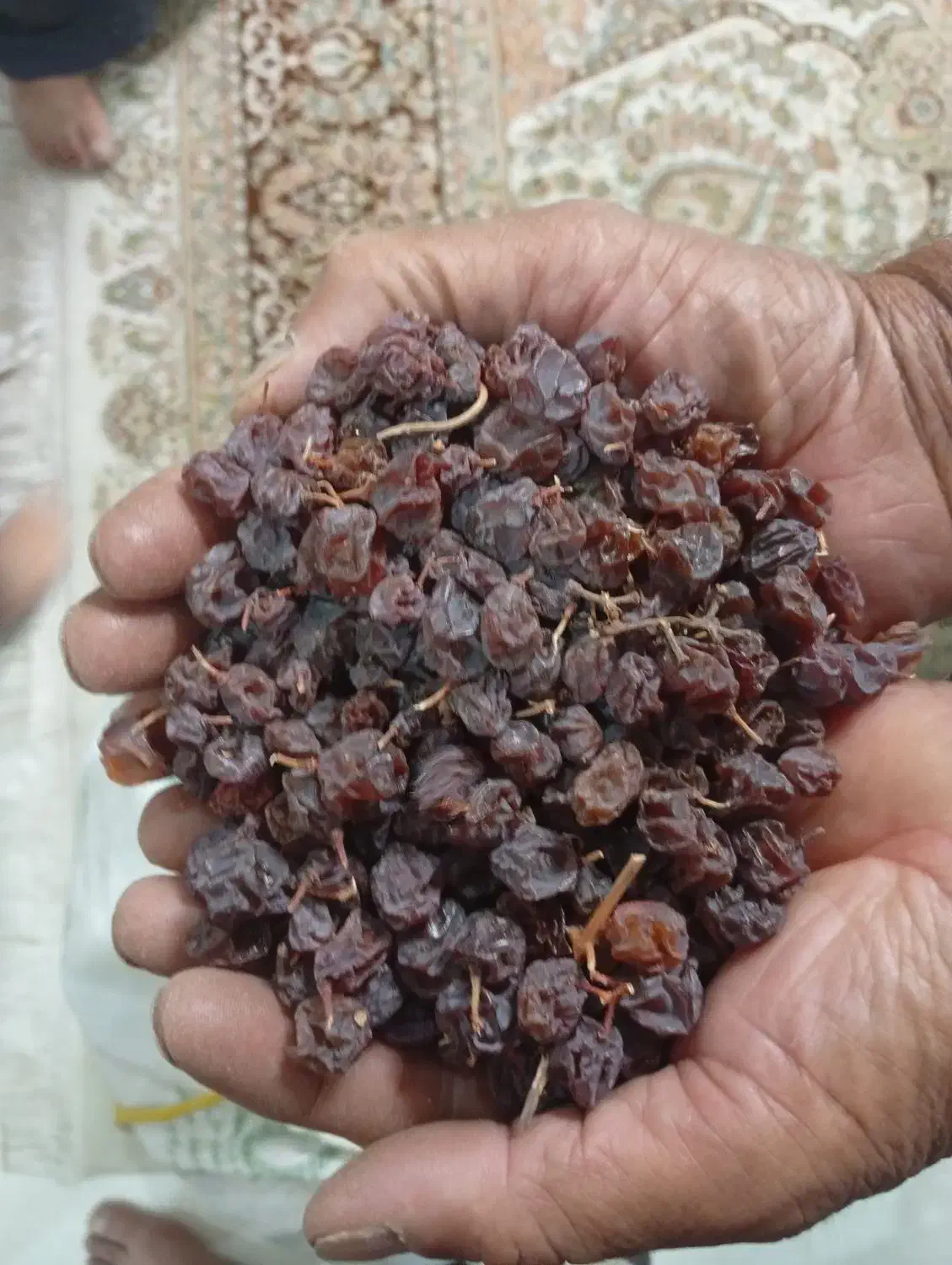 مویز بش بنو،درجه یک|خوردنی و آشامیدنی|شیراز, حجت آباد|دیوار
