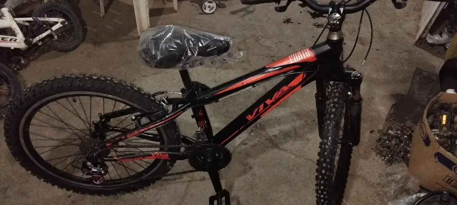 دوچرخه ویوا ۲۴ دو عدد|دوچرخه، اسکیت، اسکوتر|آبپخش, |دیوار