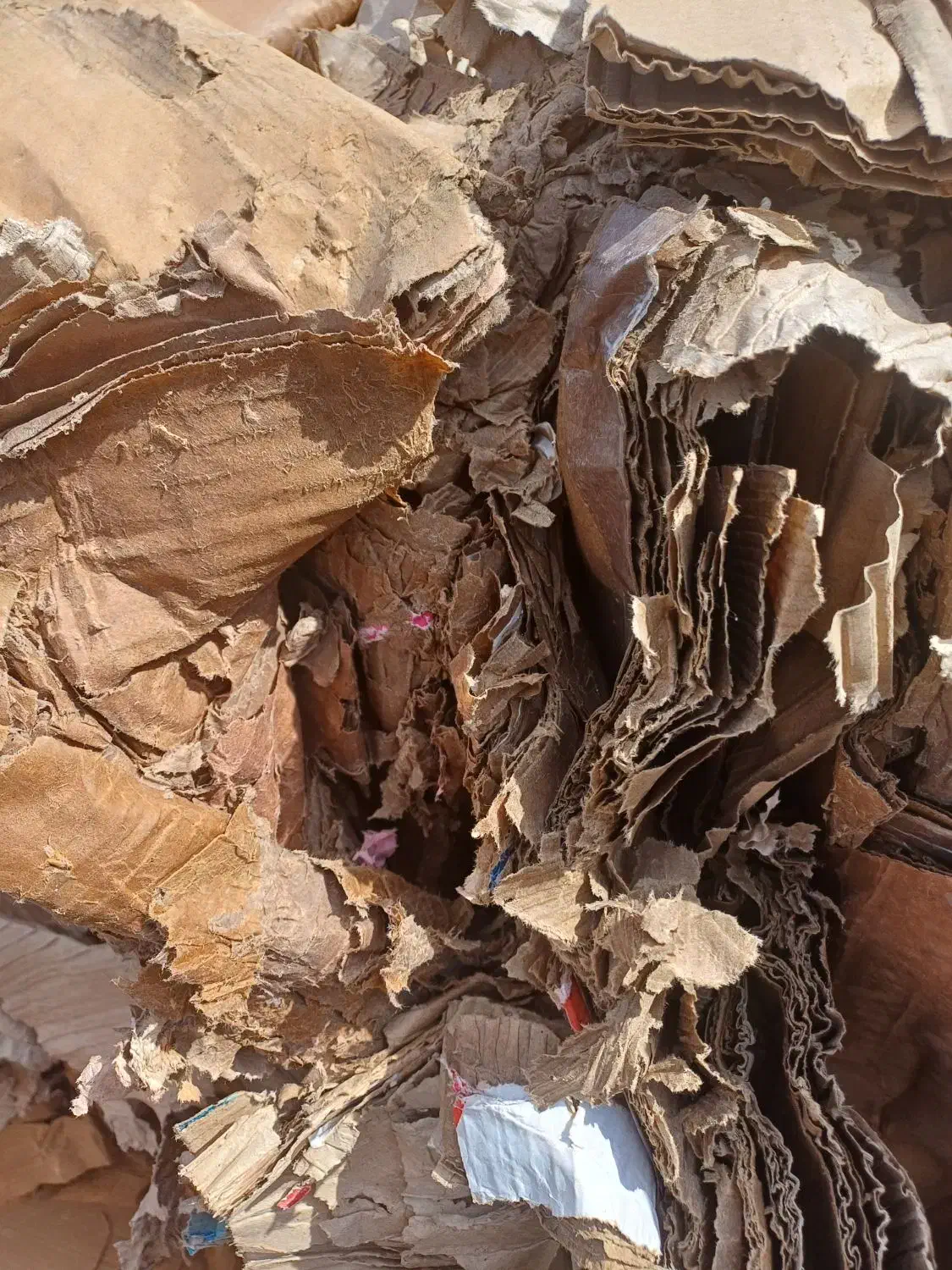 ضایعات کارتن|عمده‌فروشی|تبریز, |دیوار