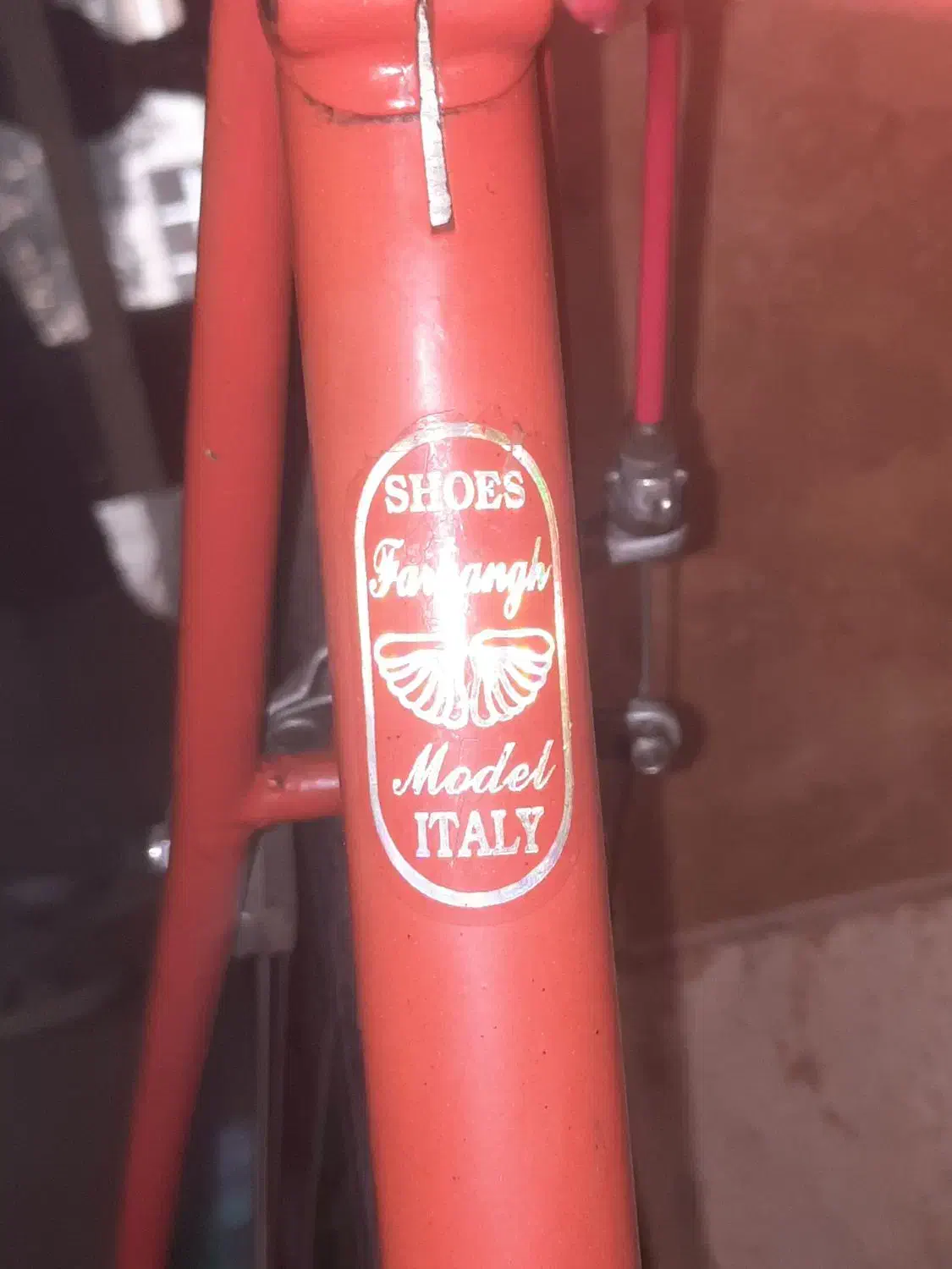 فروش دوچرخه کورسی|دوچرخه، اسکیت، اسکوتر|ری, حمزهآباد|دیوار