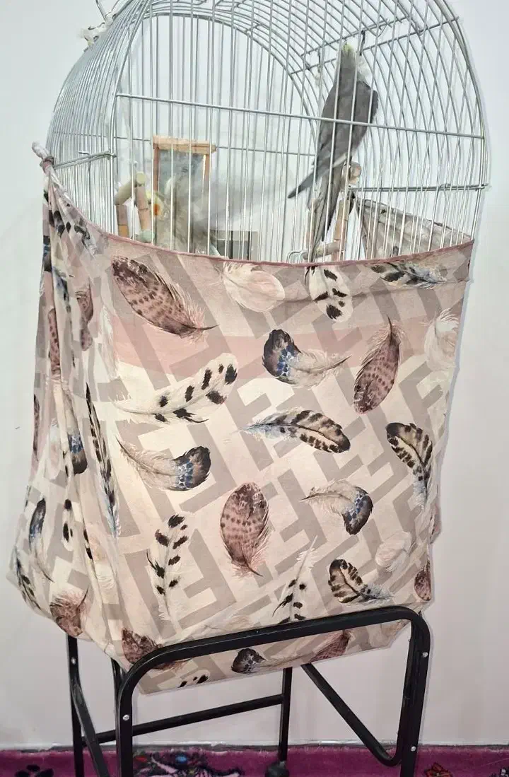 یک جفت عروس هلندی|پرنده|قم, هنرستان|دیوار