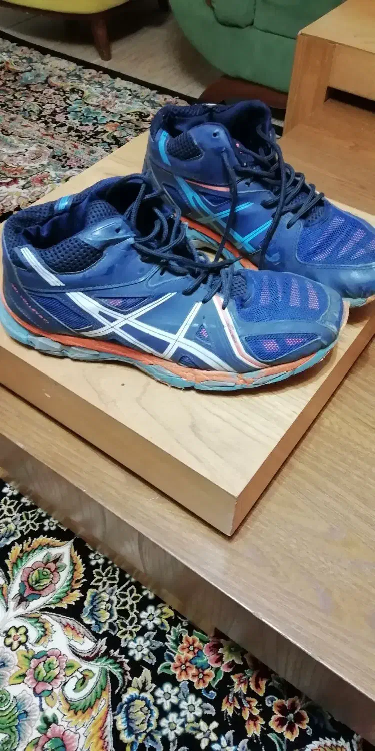 کتلنی والیبال|تجهیزات ورزشی|رشت, دیانتی|دیوار