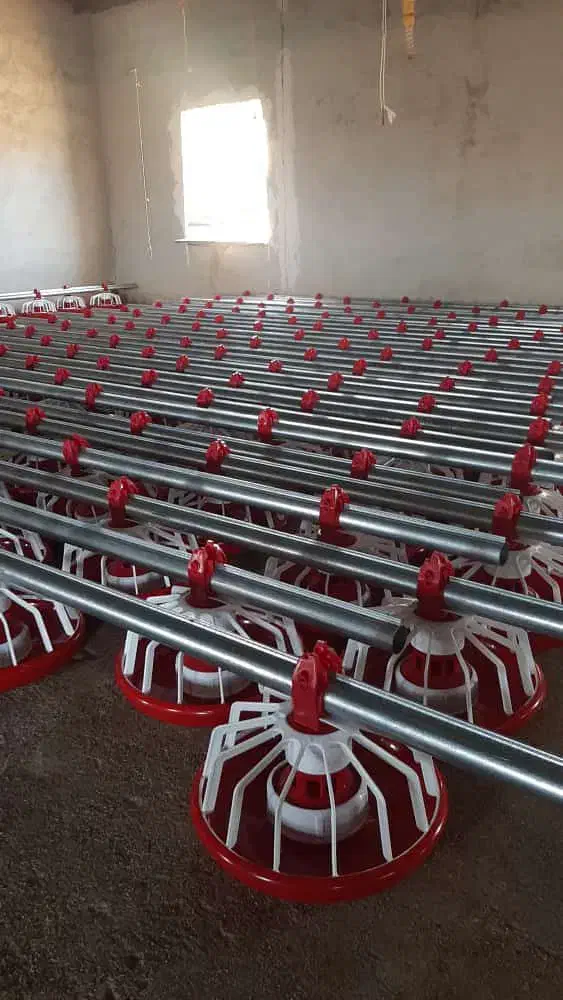 فروش اسکرو برای جا ب جایی سیمان و..|فروشگاه و مغازه|قزوین, |دیوار