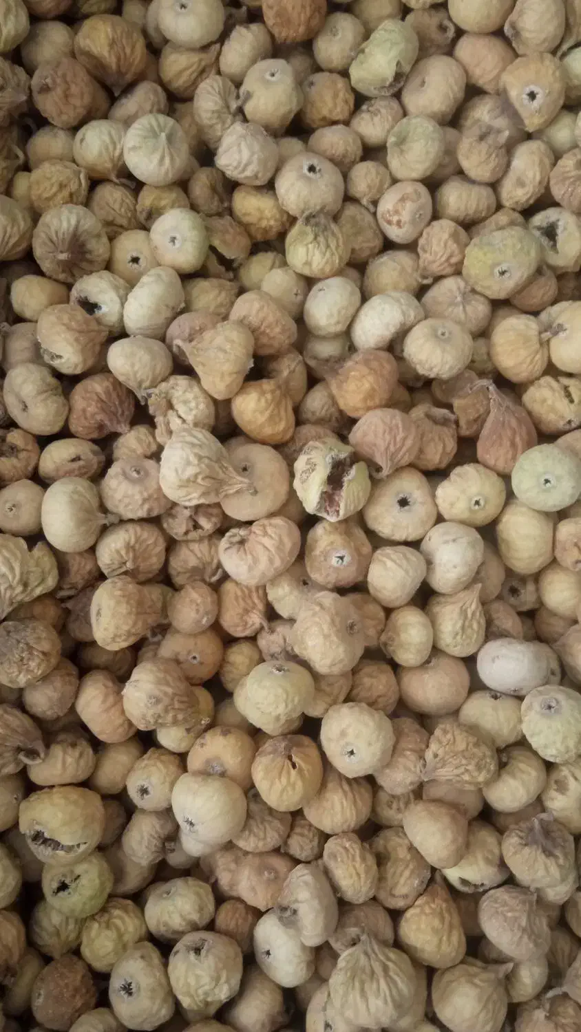 انجیر استهبان|خوردنی و آشامیدنی|شیراز, گل سرخ|دیوار