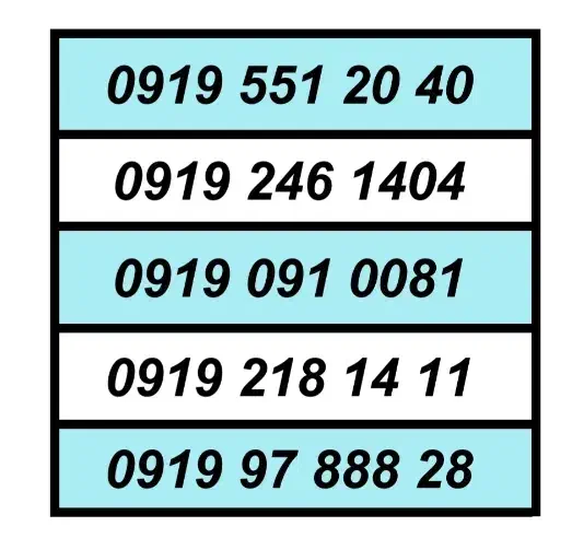 0919.23.26.206|سیمکارت|تهران, اکباتان|دیوار