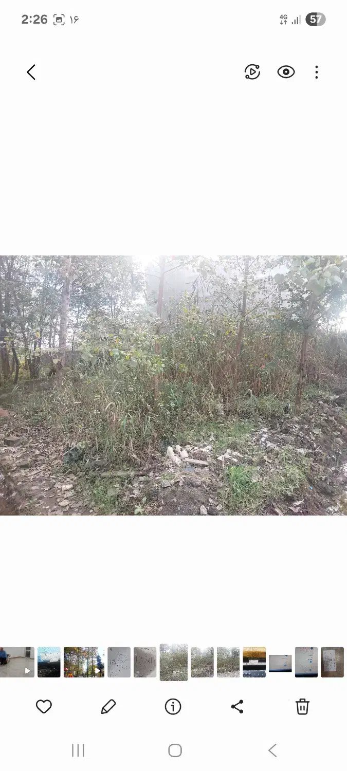 فروش فوری زمین مسکونی شهری|فروش زمین و ملک کلنگی|خشکبیجار, |دیوار