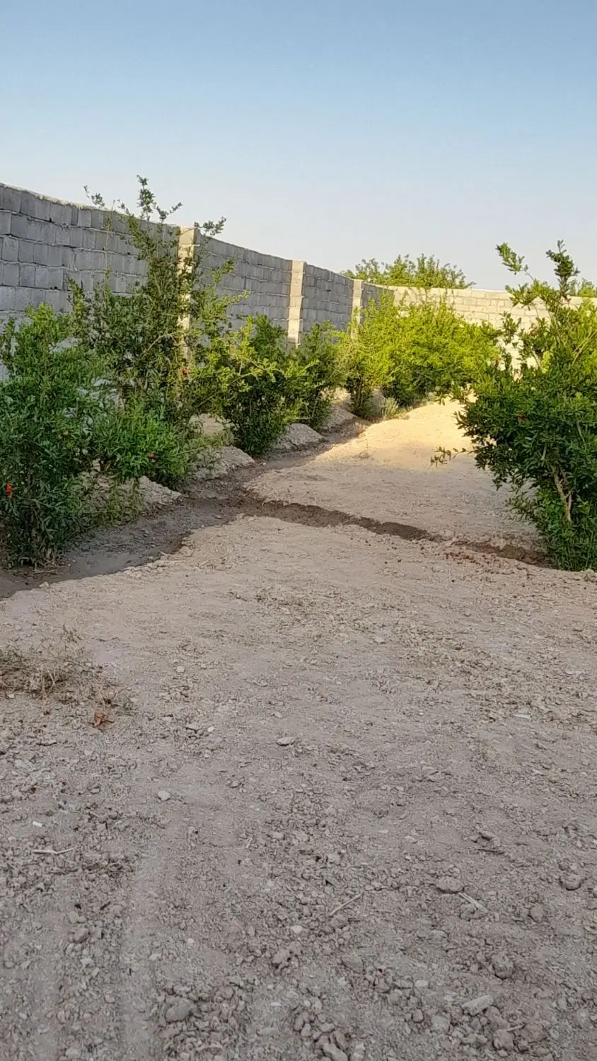 فروش باغ ۷۵۰متری - Ansicht 2