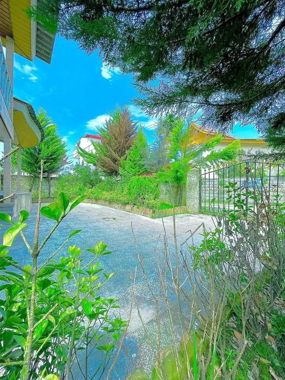 باغچه ویلانیم پیلوت جنگلی*330متر قیمت کاسبی|فروش خانه و ویلا|آلاشت, |دیوار