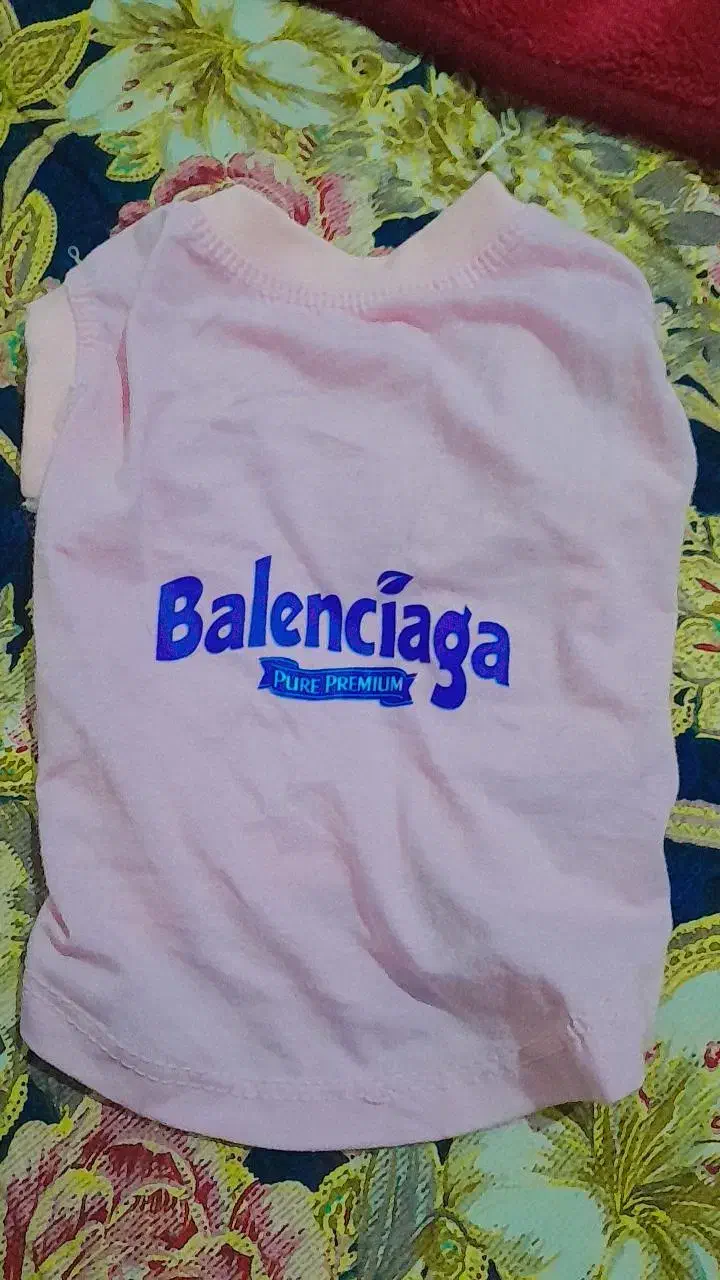 لباس گربه|لباس|قوچان, |دیوار