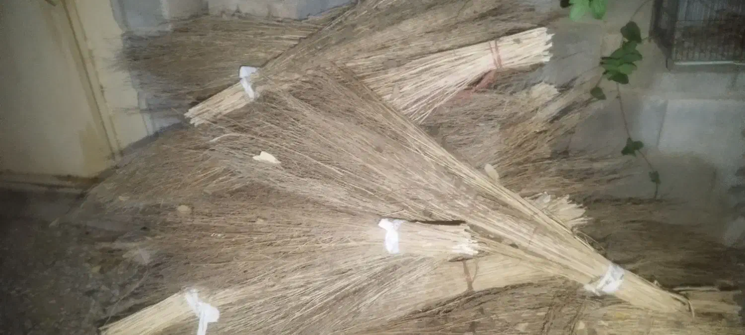 جارو پیشی|لوازم نظافت|زاغه, |دیوار