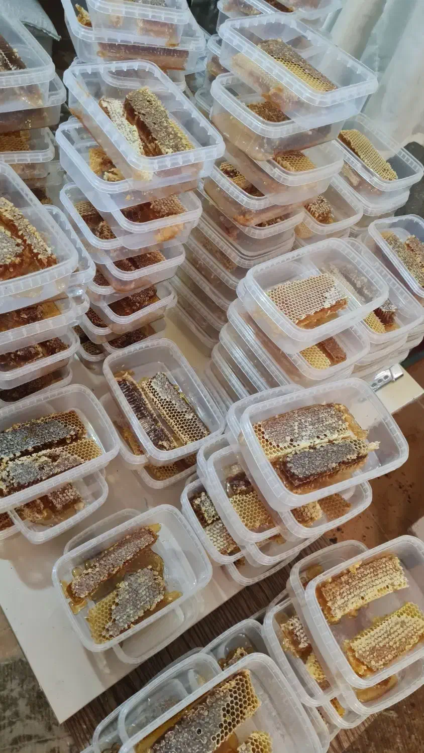 عسل طبیعی وخالص صددرصد.|خوردنی و آشامیدنی|اصفهان, کوی امیریه|دیوار