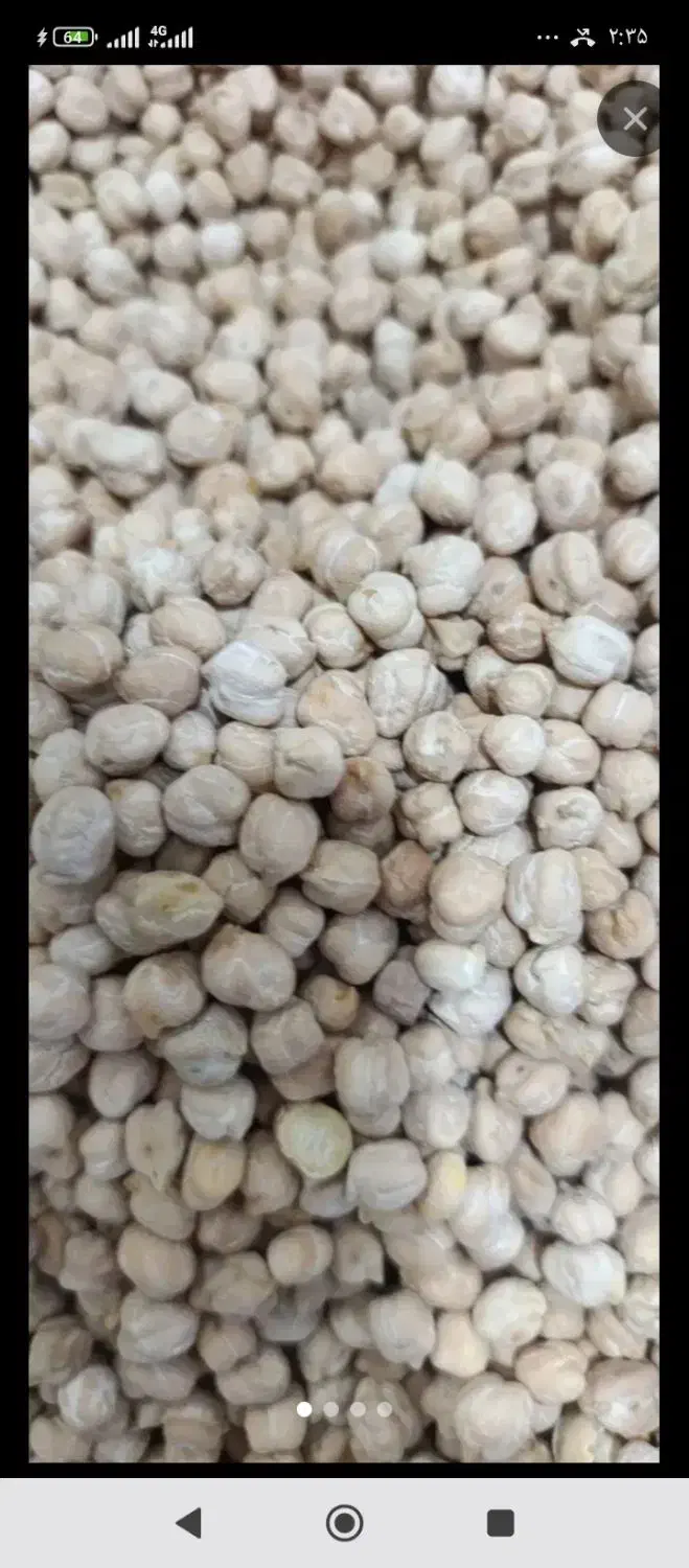 50کیلو نخود|حراج|الیگودرز, |دیوار