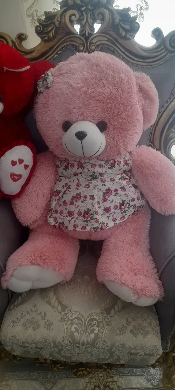 عروسک خرسی شاسخین|اسباببازی بچه|پرند, فاز ۶|دیوار