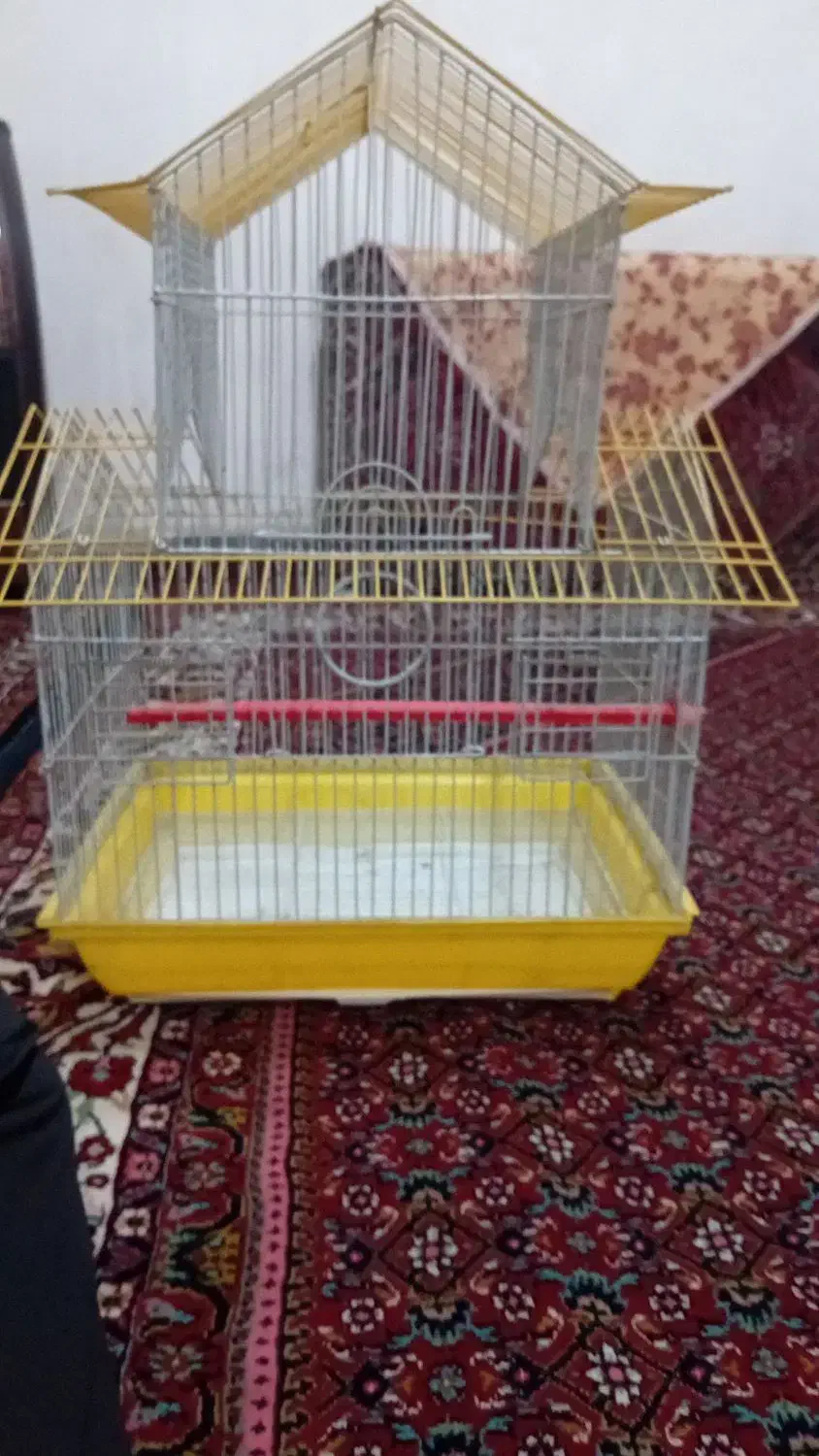 قفس|لوازم جانبی حیوانات|همدان, |دیوار