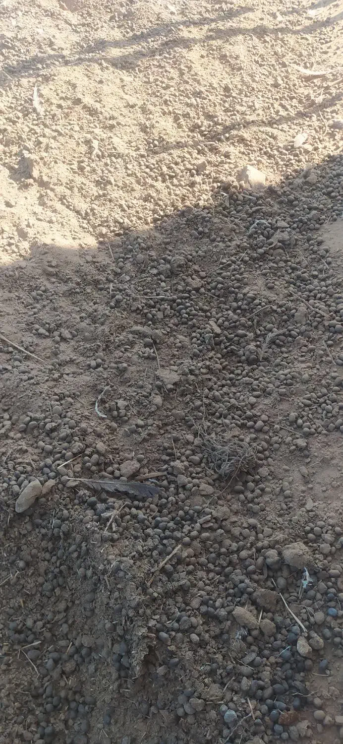 کود حیوانی|خدمات باغبانی و درختکاری|کوهدشت, |دیوار