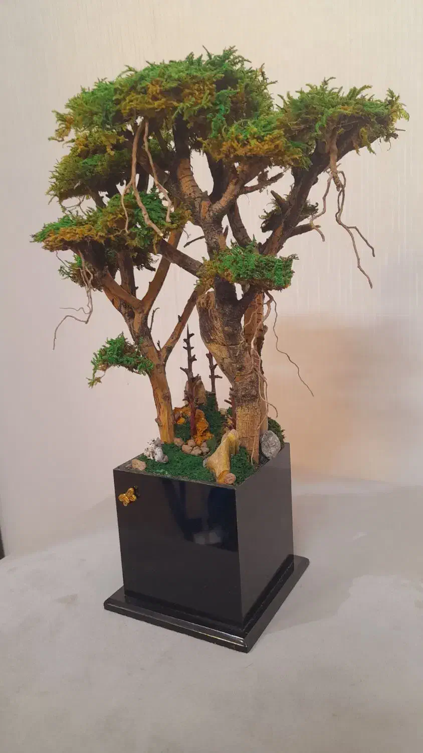 درختچه|گل و گیاه طبیعی|تهران, جی|دیوار