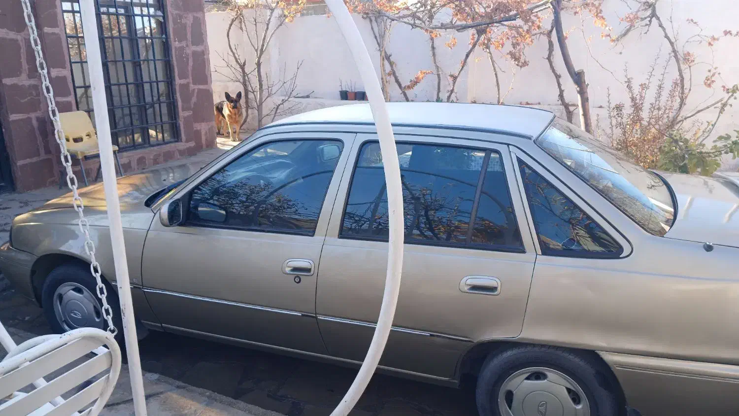 دوو سیلو۸۱|خودرو سواری و وانت|مشهد, هفت تیر (آب و برق)|دیوار