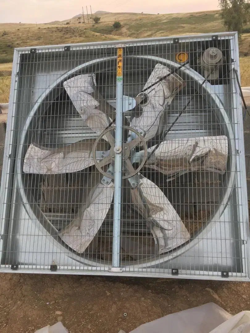 فن گلخانه|پنکه و تصفیه‌کنندهٔ هوا|ایذه, |دیوار