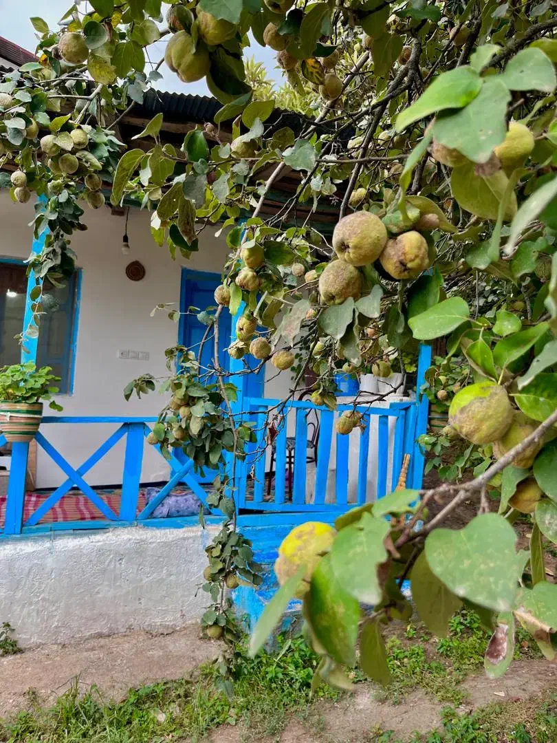 خانه اجاره ای با نازل ترین قیمت در حلیمه جان|اجارهٔ کوتاه‌مدت ویلا و باغ|توتکابن, |دیوار