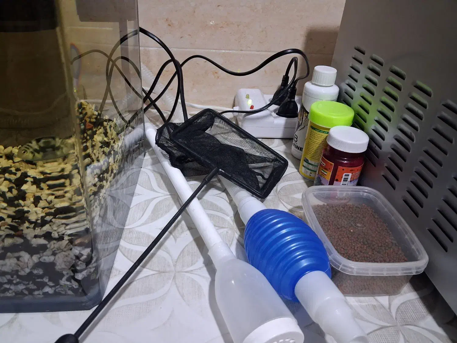 آکواریوم همراه دوعدد ماهی پلار تخم گذار|ماهی|چهاردانگه (تهران), |دیوار