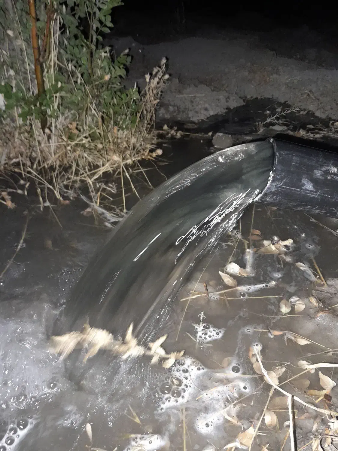 اجاره ۱۱هکتارزمین کشاورزی بالوله کشی قطره ای بیضا|اجارهٔ دفتر صنعتی، کشاورزی، تجاری|بیضا, |دیوار