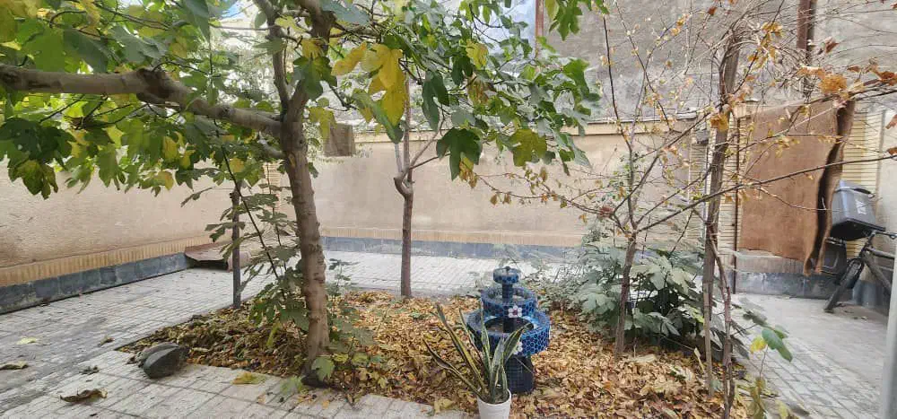 سالن زیبایی همراه با تجهیزات|آرایشگاه و سالن‌های زیبایی|مشهد, شهرک لشکر (شهرک غرب)|دیوار