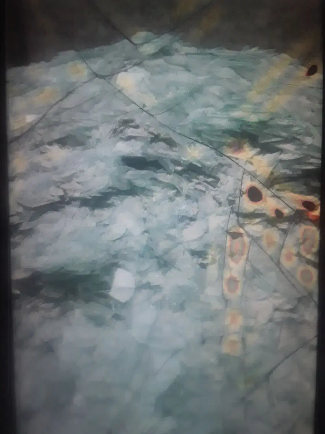 ضعایات|عمدهفروشی|رشت, جانبازان|دیوار