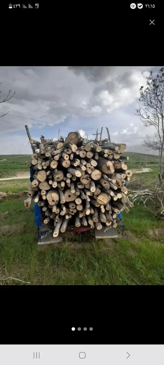 باسلام خریدارگردو صنوبرزردآلو سیب وغیره۰۰۰|خدمات باغبانی و درختکاری|نهاوند, |دیوار