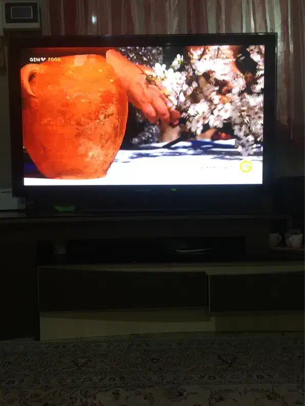 تلویزیون ۵۵|تلویزیون و پروژکتور|شهریار, شهریار|دیوار