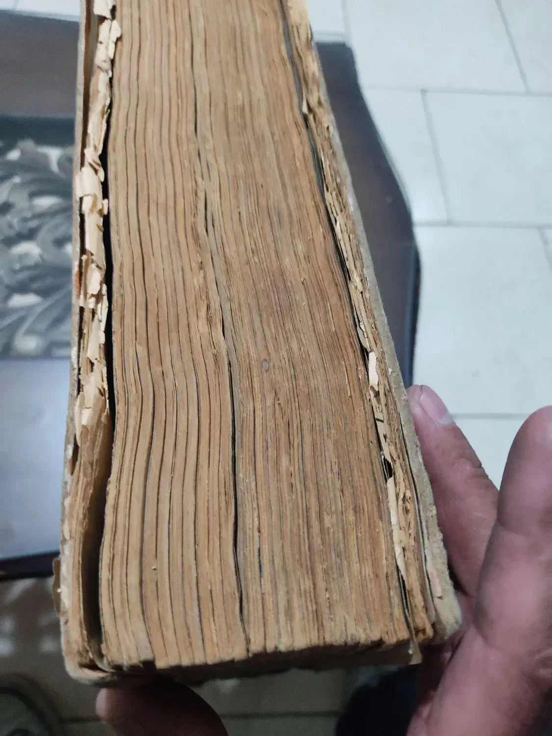 مجموعه کامل عتیقه روزنامه سال ۵۱|کتاب و مجله تاریخی|شهریار, شهریار|دیوار