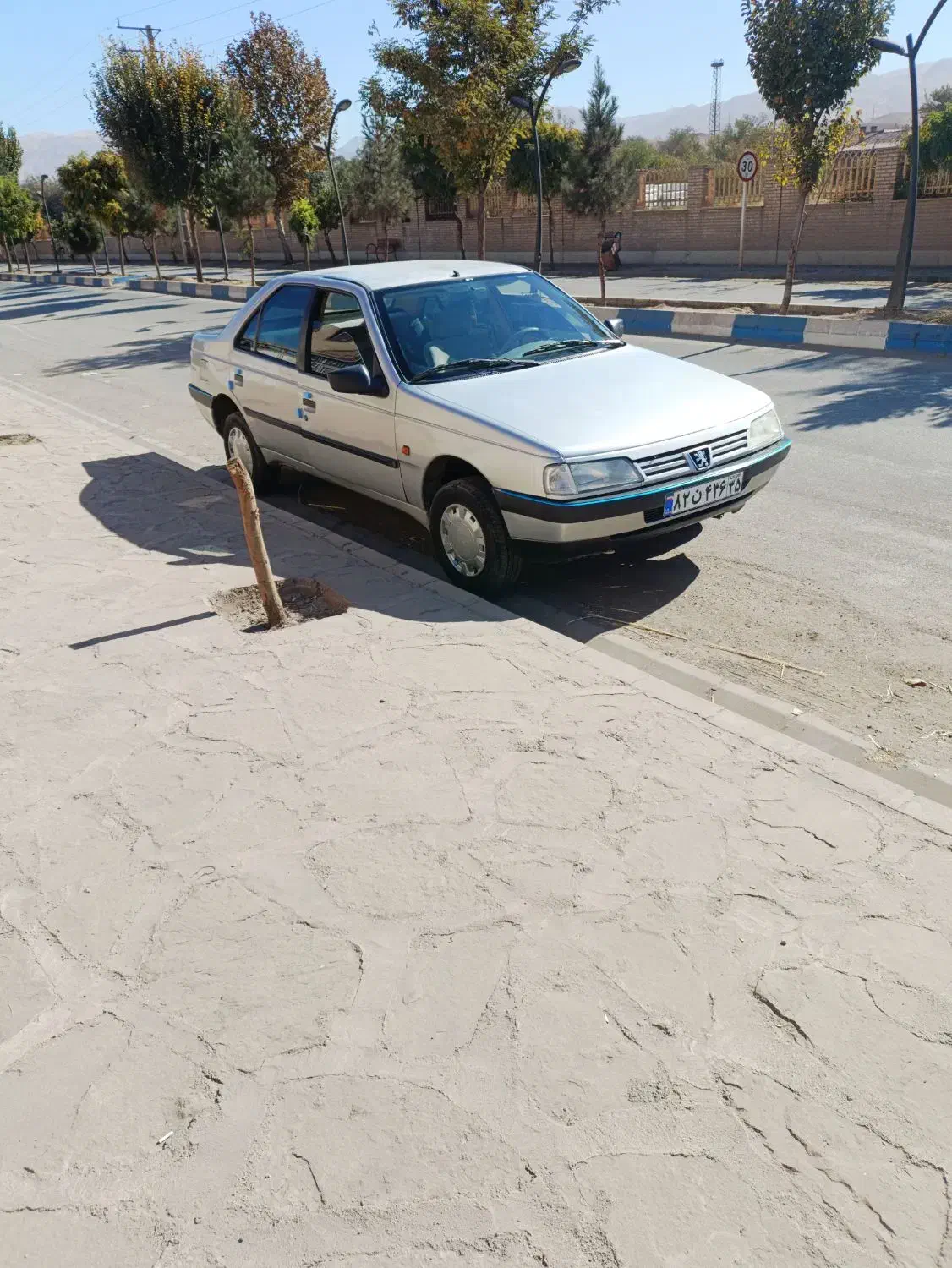 پژو 405 توکرم|خودرو سواری و وانت|میانه, |دیوار