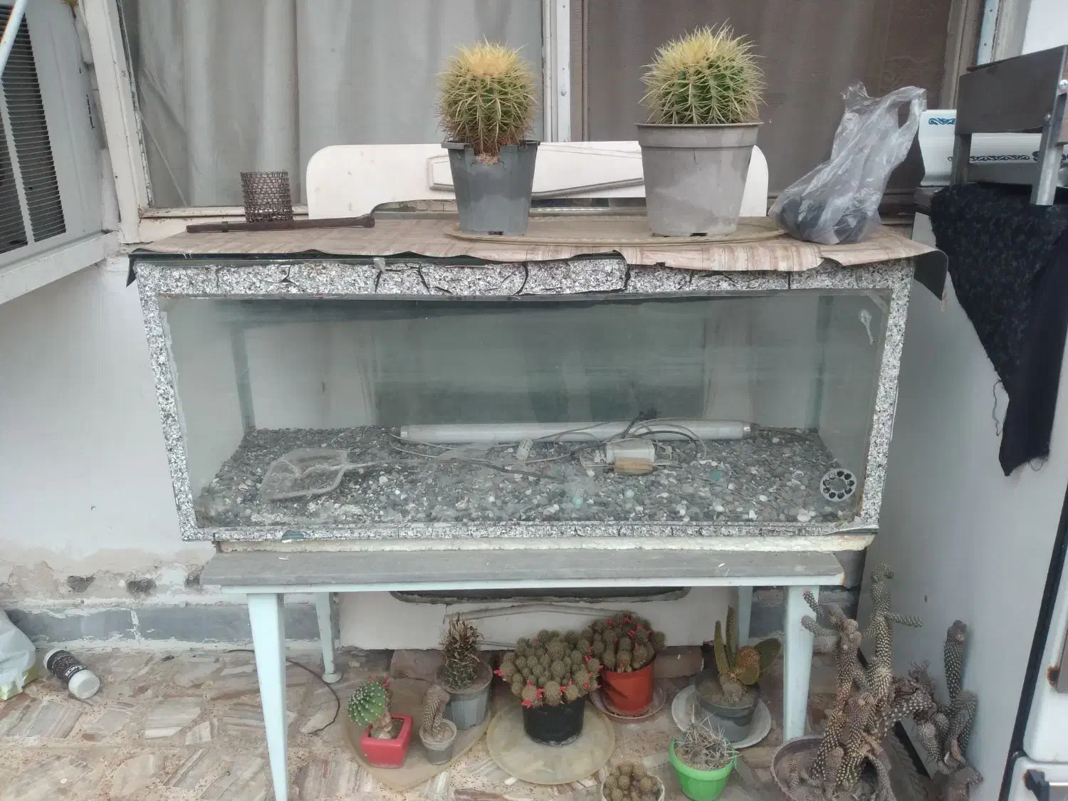 اکواریوم|ماهی|قائمشهر, |دیوار