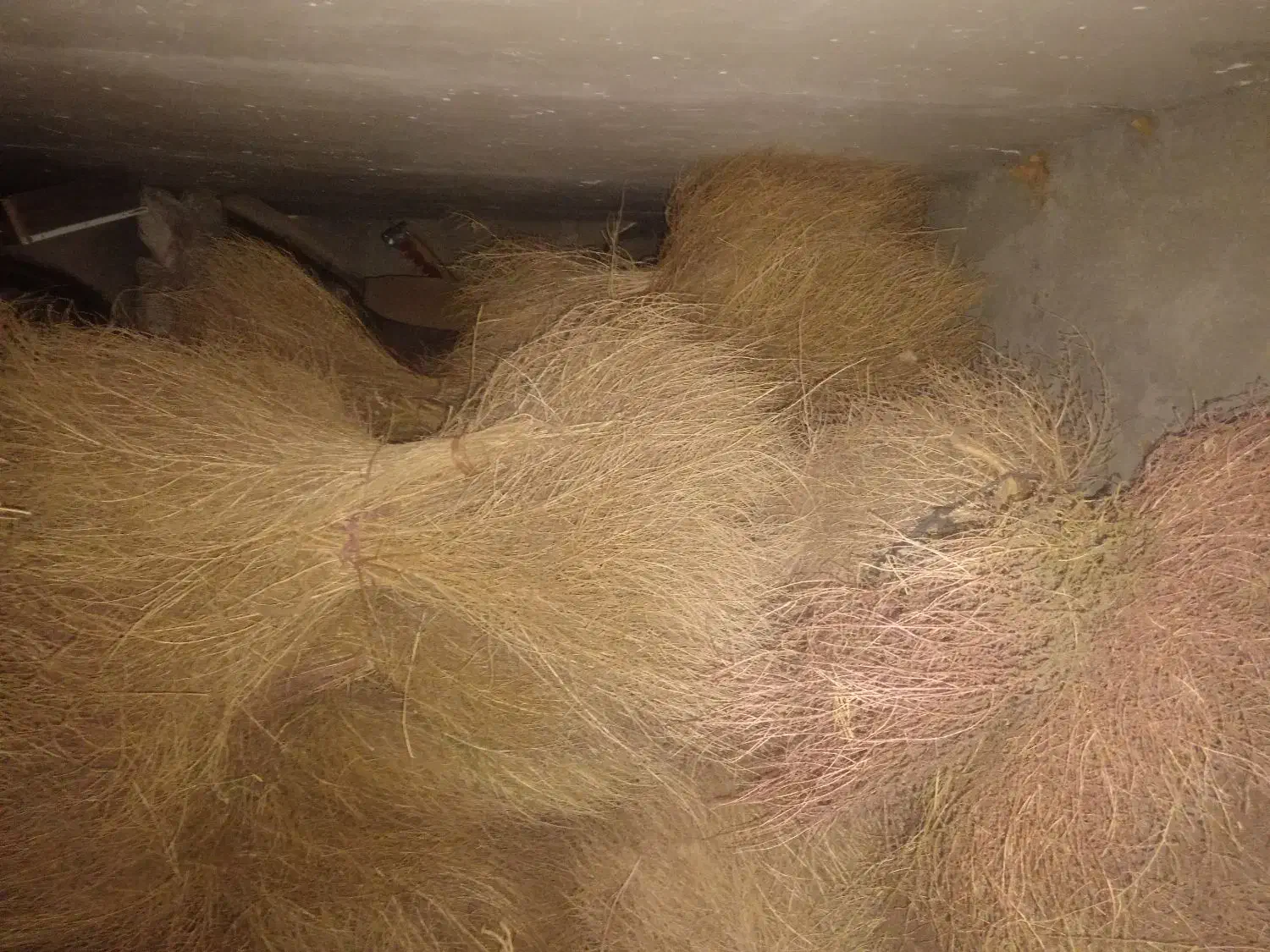 جارو محلی|لوازم نظافت|نیشابور, بنیاد شهید|دیوار