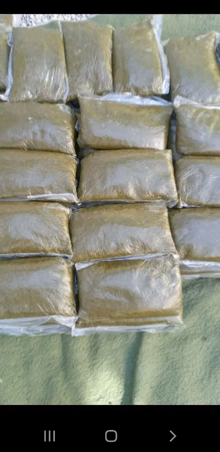 سبزی خورشتی خوشمزه|حراج|اندیمشک, |دیوار