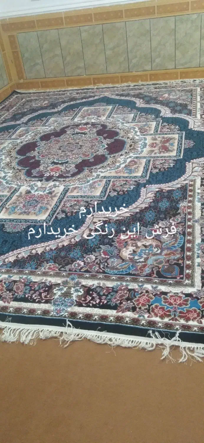 فرش|فرش|دهدشت, |دیوار