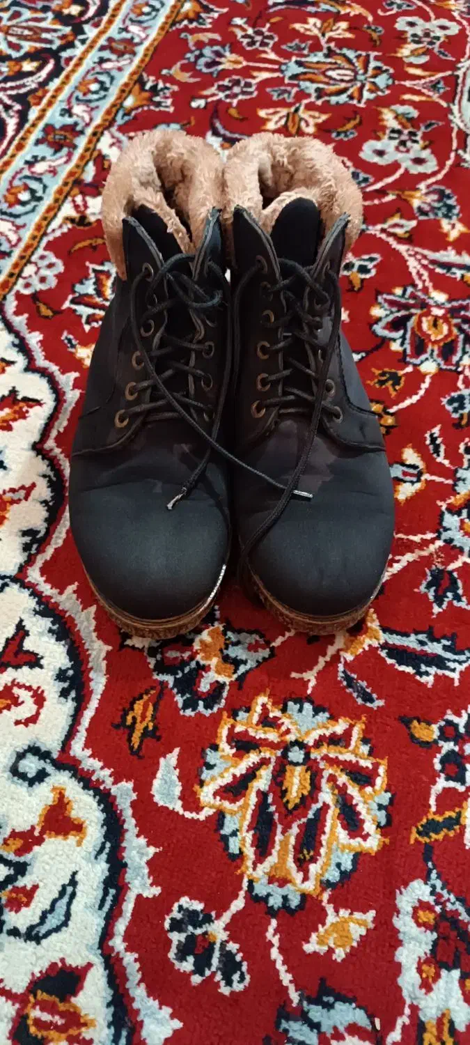 کفش|کیف، کفش، کمربند|تربت جام, معدآباد|دیوار