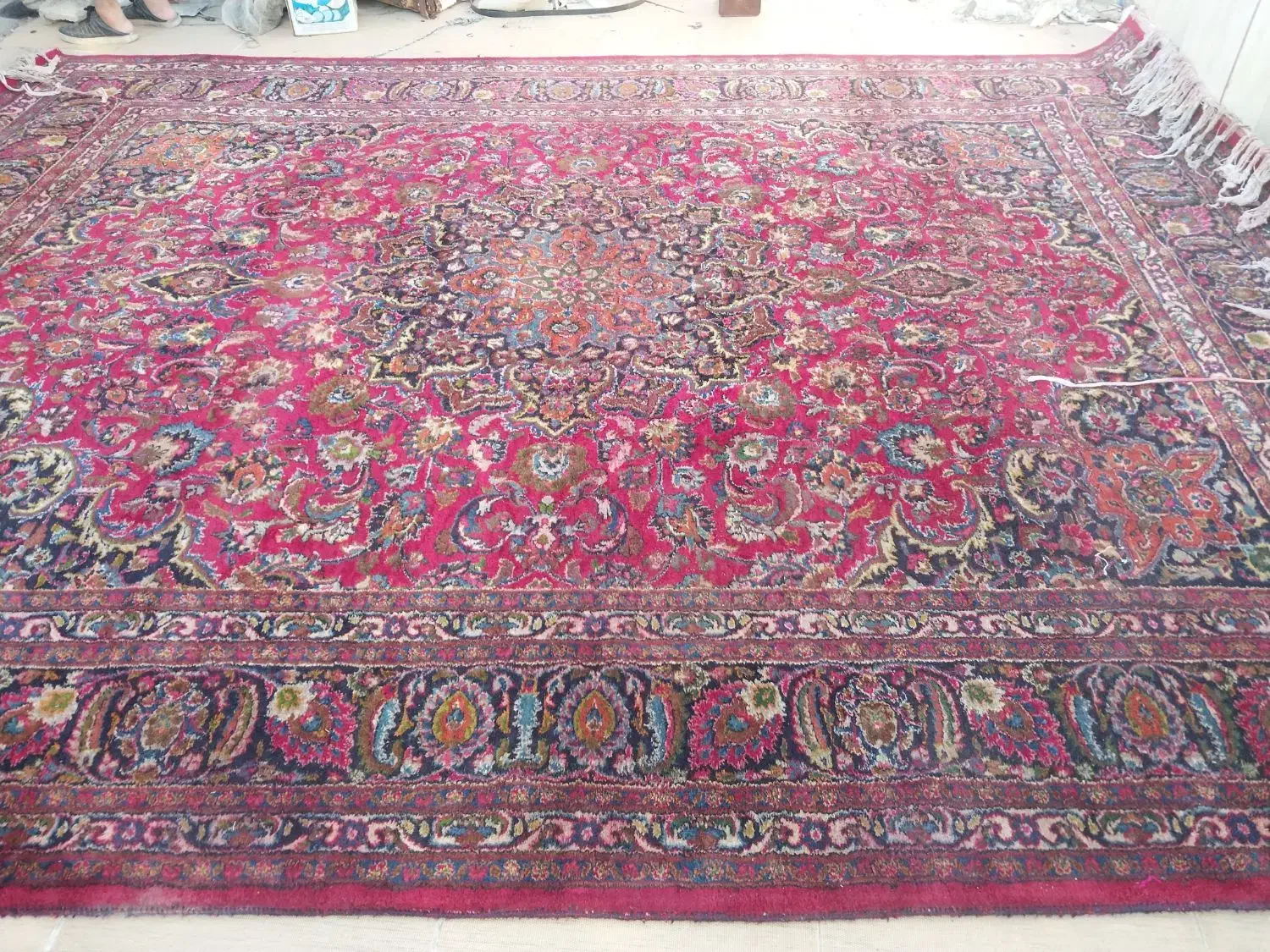 قالی دست بافت|فرش|اهواز, کوروش|دیوار