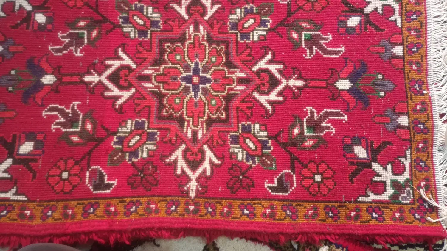 دوعدد پادری خوشرنگ|پادری|تبریز, |دیوار