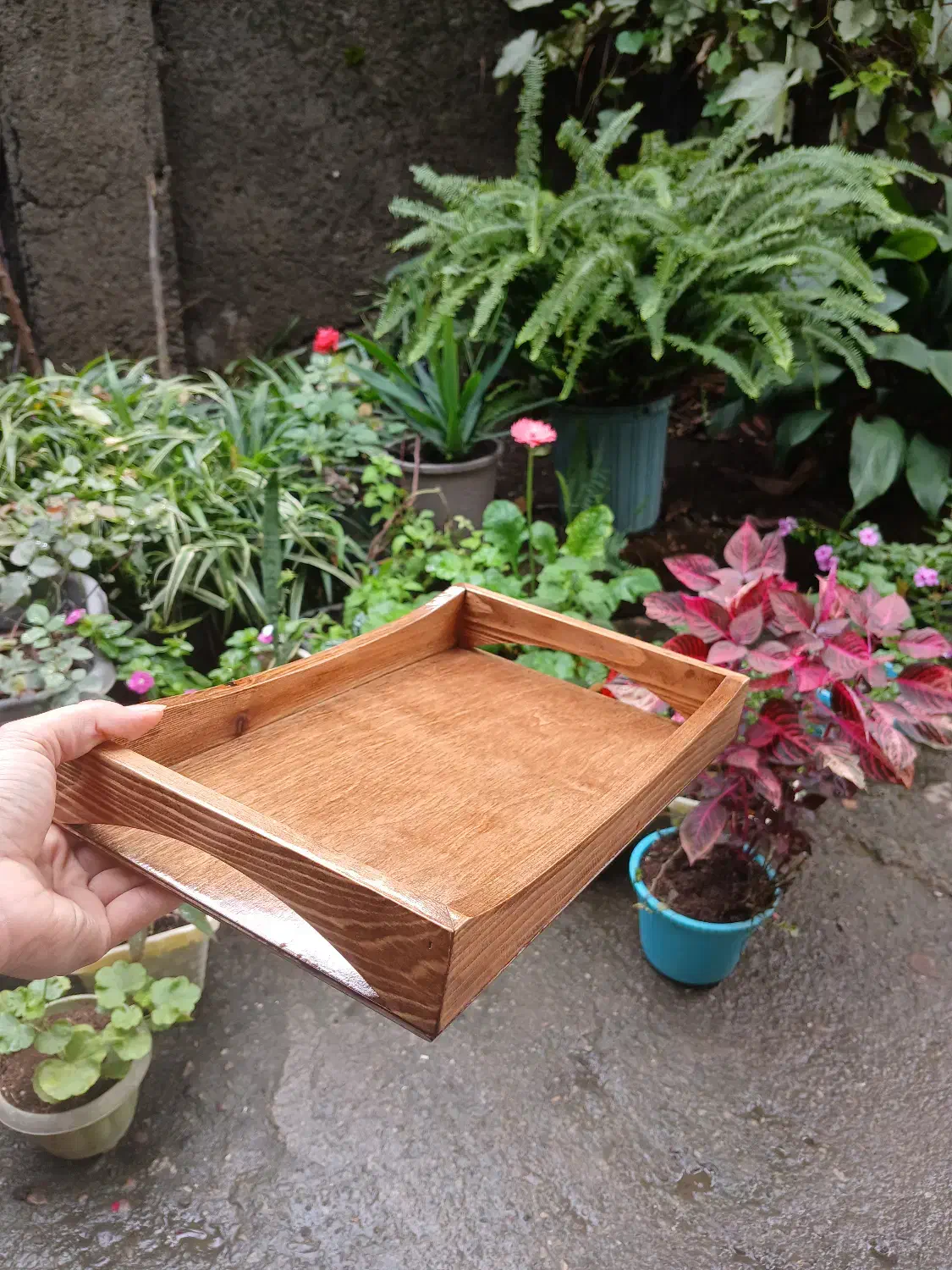 سینی مستطیلی.|ظروف سرو و پذیرایی|قرچک, شهرک صنعتی قرچک|دیوار