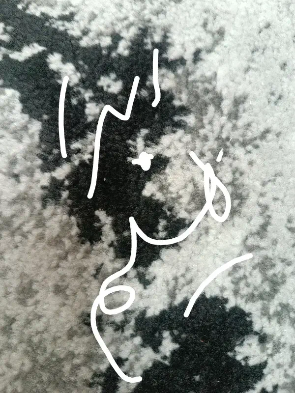 تعدادی مدارک گمشده|اشیا|تهران, امیریه|دیوار