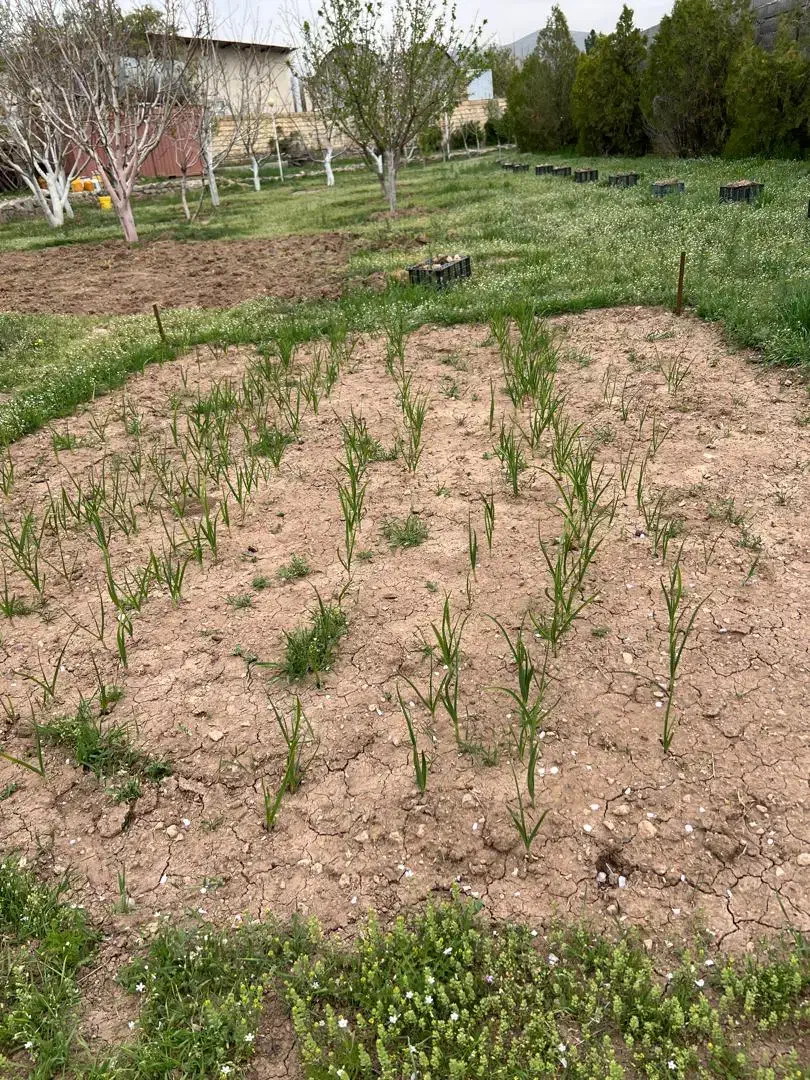 ساخت|مشارکت در ساخت املاک|قزوین, |دیوار