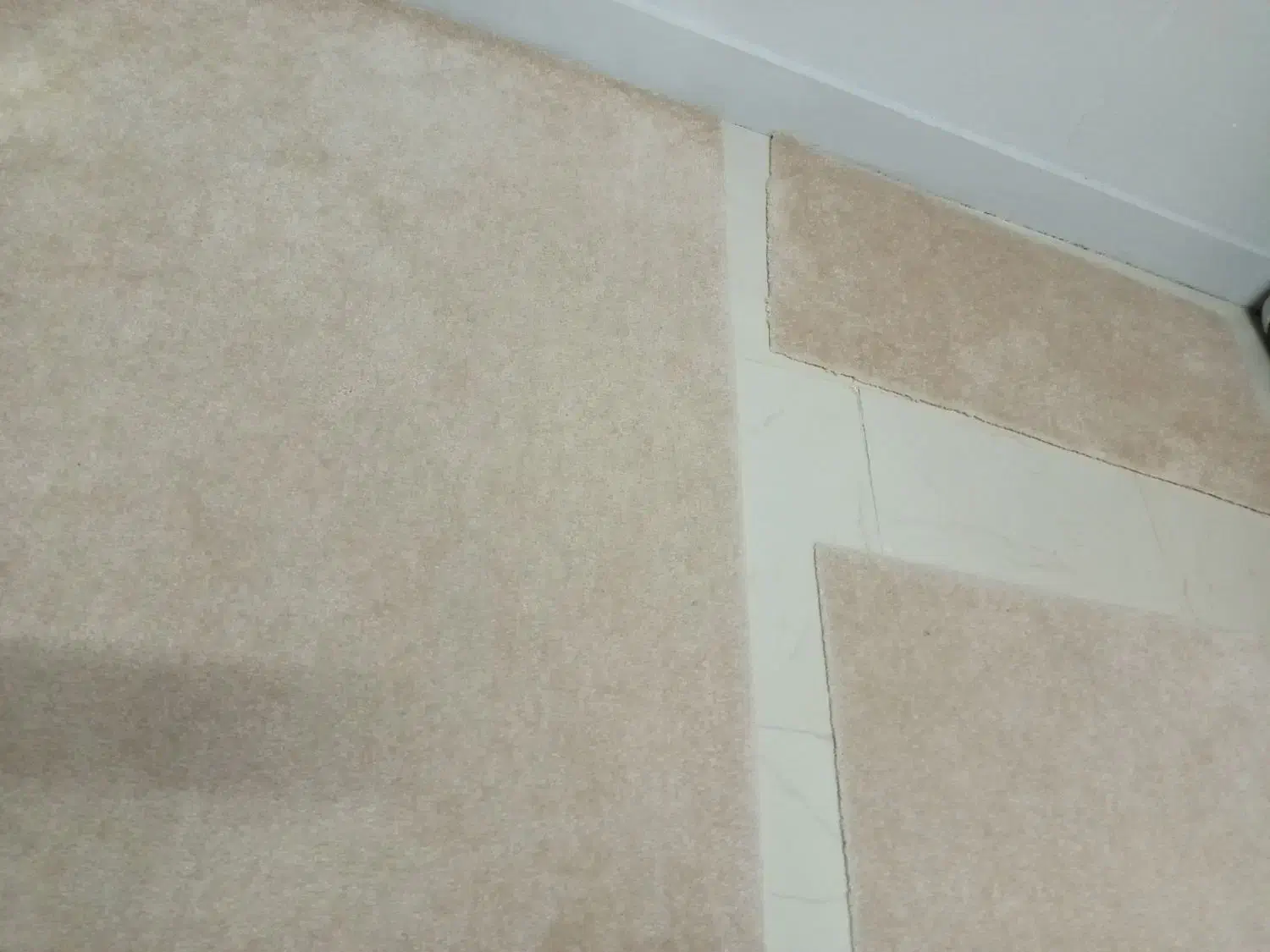 پالاز موکت|موکت|خرمدره, |دیوار